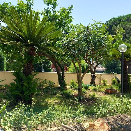 Villa Maria Cristina D'Amico Cava deʼ Tirreni Dış mekan fotoğraf